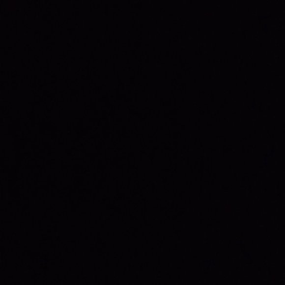 Meet your Posher, Harley. - Picture 1 of 1